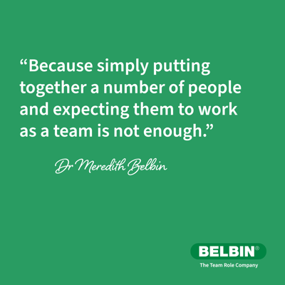 Belbin LI Quotes (1)