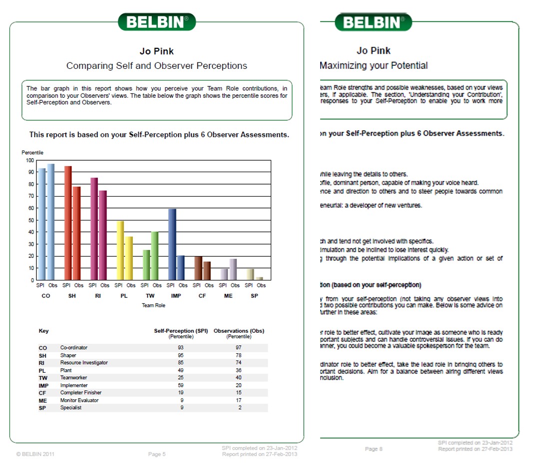 belbin questionnaire free