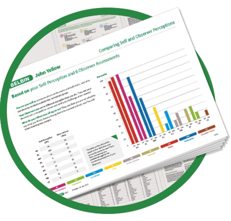 Belbin Individual Report With Observers