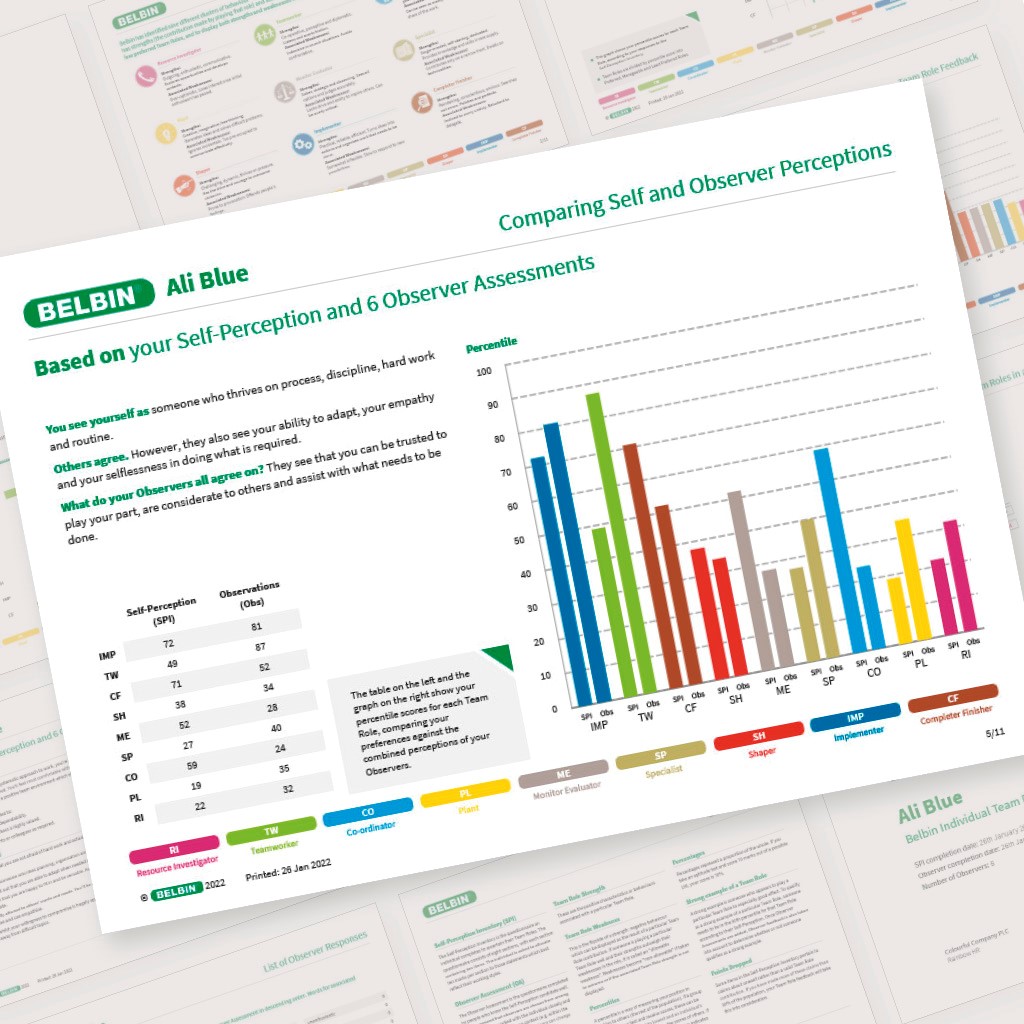 Belbin individual report page - comparing self and observer perceptions