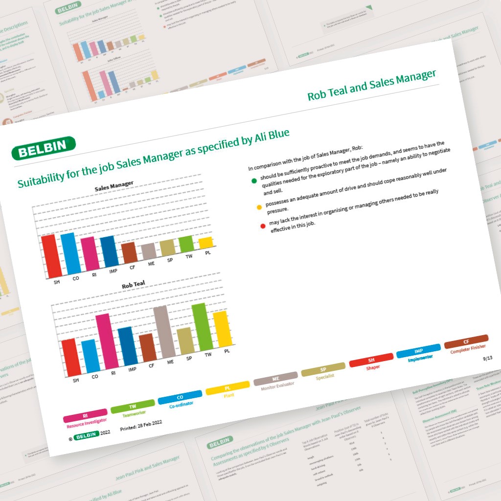 Belbin report suite - Belbin job comparison report page