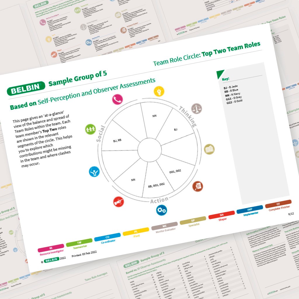 Belbin team report page - Team Role circle